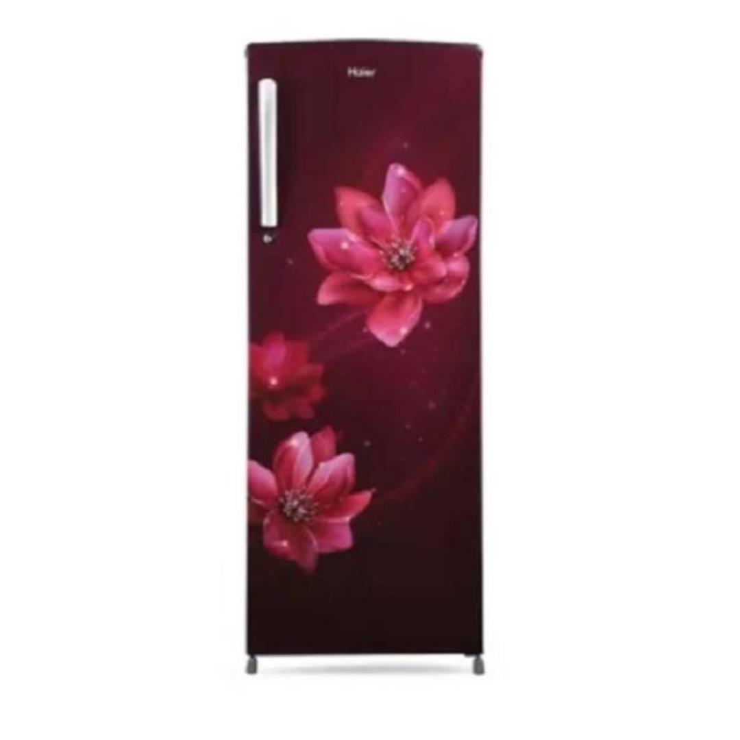 Refrigerator DC 185 Ltr midnight blossom red  Red Peony