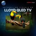 LLOYD Home Entertainment Television